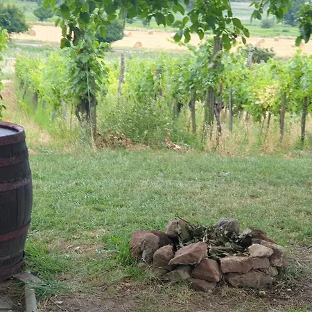 Milkali - Fairytale House In 公寓 *