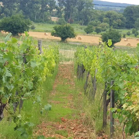 Διαμέρισμα Milkali - Fairytale House In *